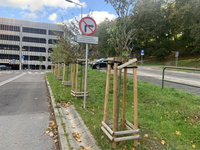 Niedaleko niedawno uruchomionego parkingu przy Urzędzie Miasta Bydgoszczy przy Grudziądzkiej też można zostawiać samochody. To także strefa płatnego parkowania. Tyle tylko że na pustej ulicy - tak jak z Grudziądzkiej - ze strefy nikt nie korzysta.