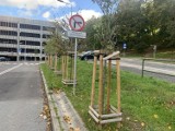 Nowy parking przy ul. Grudziądzkiej w Bydgoszczy stoi pusty... Tak samo jak z parkingu wielopoziomowego obok