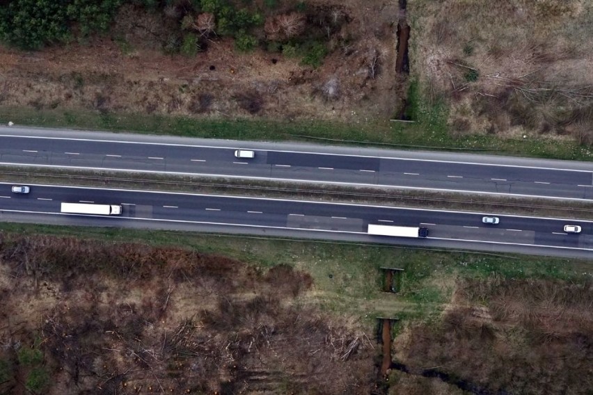 Miasto przygotowuje się do wielkiej przebudowy DK 1 i DK 46