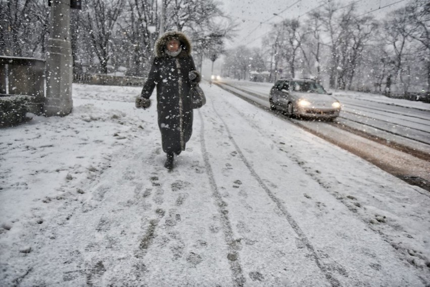 Cały Poznań zasypany. Uwaga na silny wiatr i utrudnienia! [ZDJĘCIA]