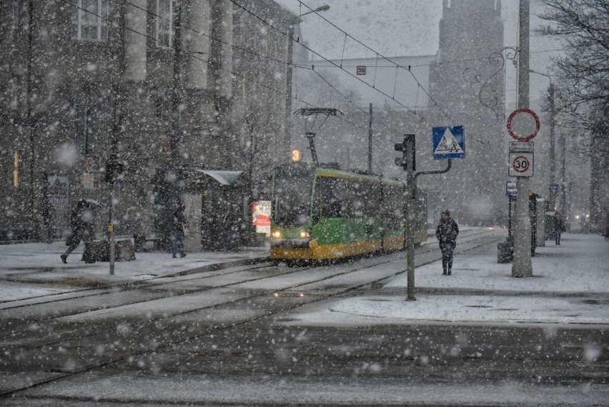 Cały Poznań zasypany. Uwaga na silny wiatr i utrudnienia! [ZDJĘCIA]