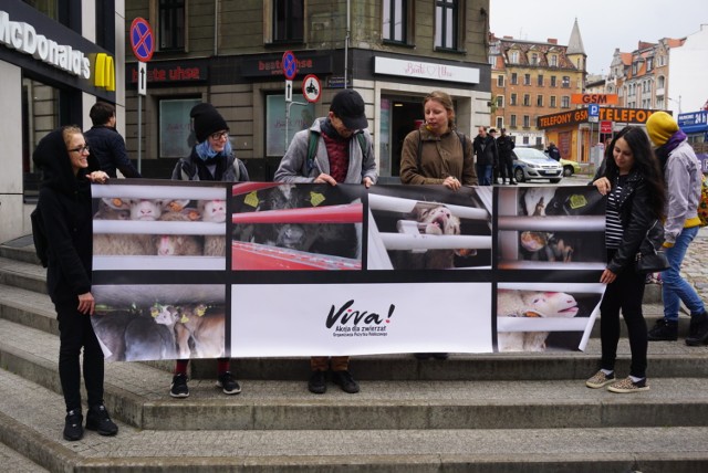 Poznań: Protest obrońców praw zwierząt