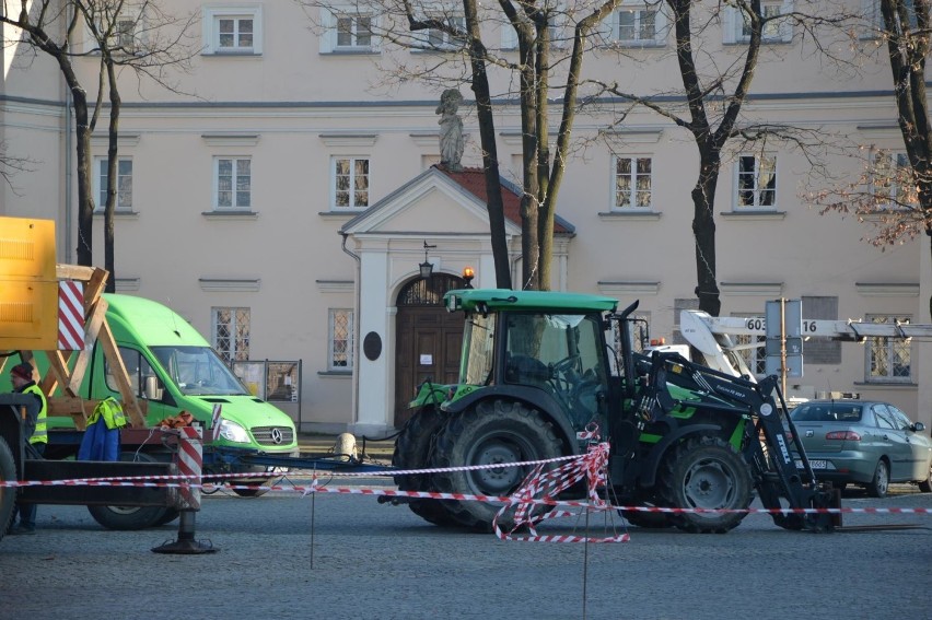 Blisko 11-metrowy świerk stanął na Starym Rynku w Łowiczu [ZDJĘCIA]