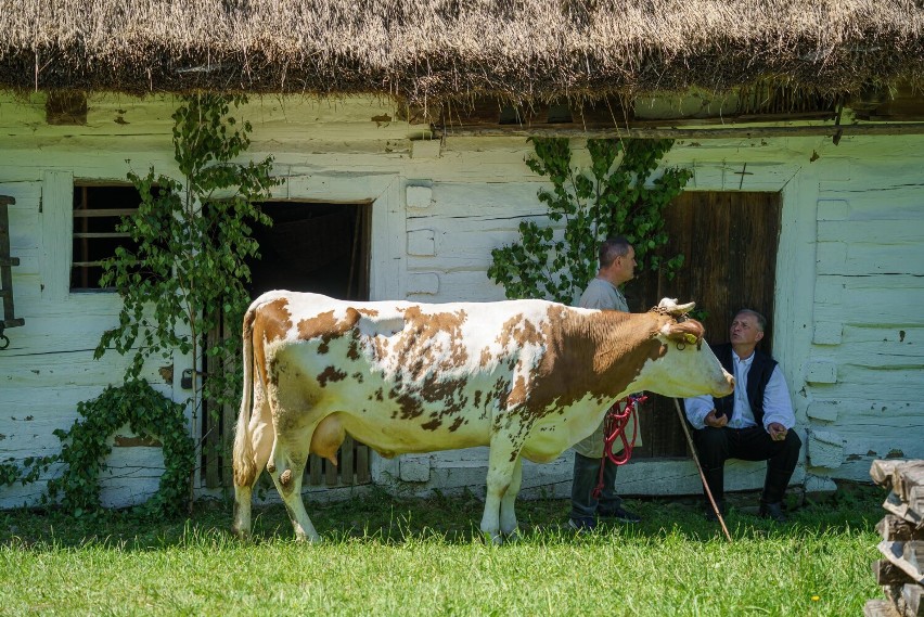 Dzień Dziecka w Skansenie w Nowym Sączu. Tłumy dzieciaków korzystały z atrakcji z okazji ich święta. Były gry, warsztaty oraz jajecznica 