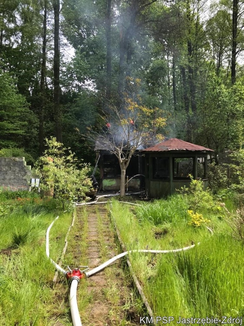 W wyniku pożaru konieczna była rozbiórka spalonej altany.