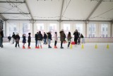 Tak bawili się mieszkańcy Olkusza i okolic podczas walentynek na lodowisku. Był gry, zabawy i poczęstunek. Zobacz zdjęcia 