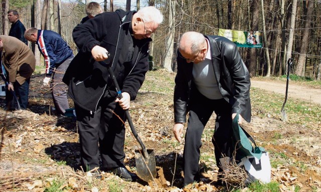 Ks. infułat Stanisław Grunt też dobrze sobie poradził z sadzeniem dębów