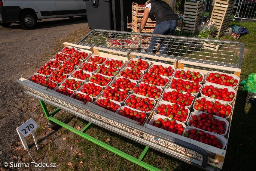 W Barzkowicach rozpoczęły się targi rolne Agro Pomerania. Zorganizował je ZODR Barzkowice, który świętuje w tym roku 65-lecie działalności 