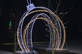 Rozświetlone Lipce Reymontowskie w zimowej odsłonie. Pomimo mrozu jest urokliwie