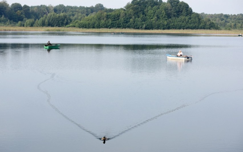 MIĘDZYRZECZ. Jezioro Głębokie jesienną porą. Sporo wędkarzy 