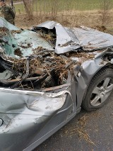Wypadek w Borkach (gm. Gidle) na DK 91. Samochód wjechał w maszynę rolniczą [ZDJĘCIA]