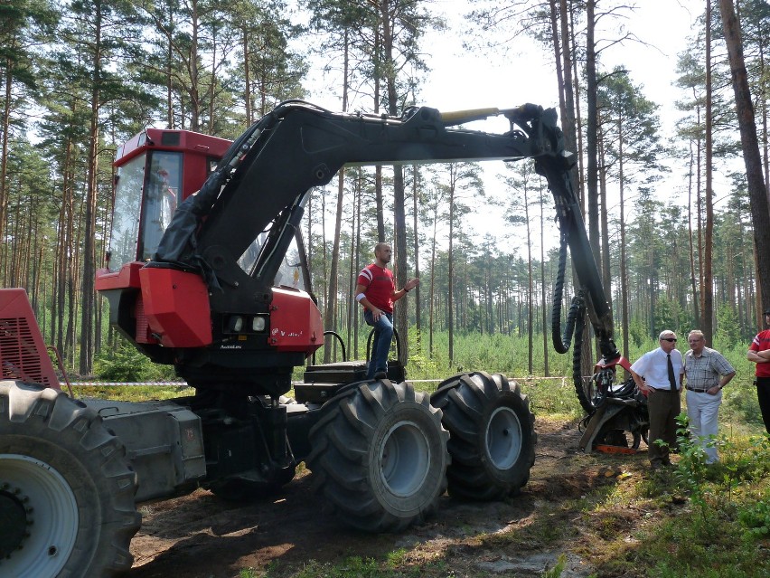 Ukraińscy leśnicy w lubelskich lasach