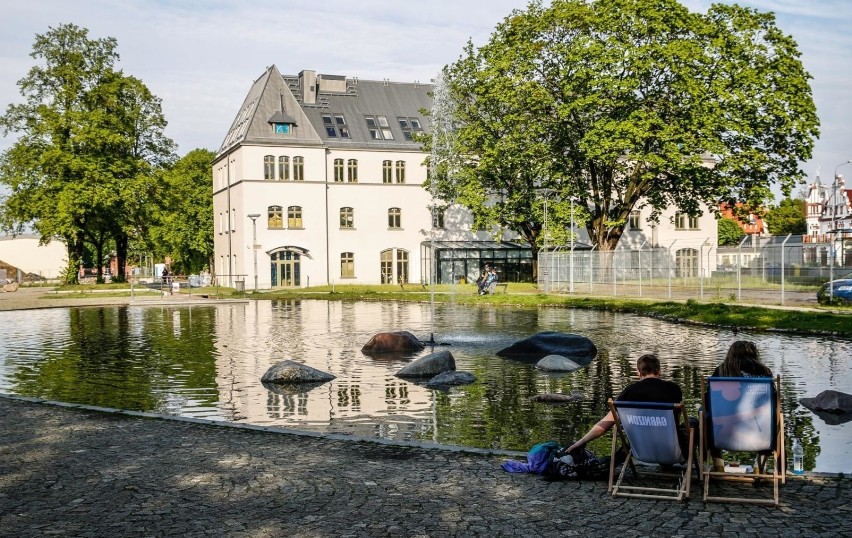 Noc Wrzeszcza 2019