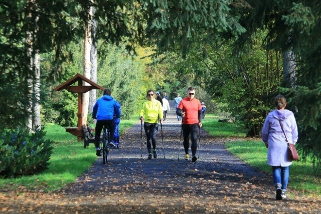 Pogoda jest idealna! Zobaczcie zdjęcia i biegnijcie do parku >>>