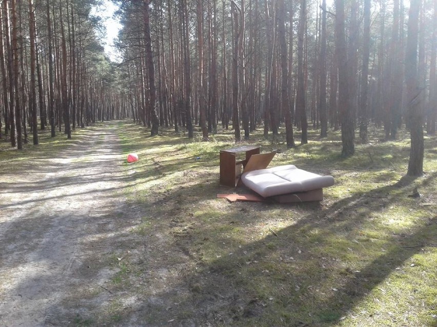 Meble porzucone w lesie w gminie Bełchatów. Zdjęcia wylądowały w sieci