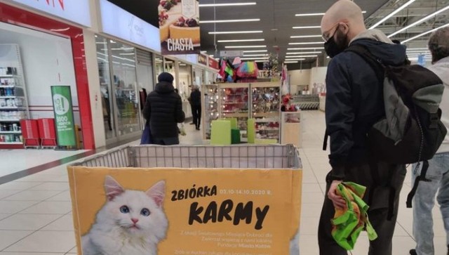 Zbiórka dla kociaków z Fundacji Miasto Kotów w markecie Auchan w Piotrkowie