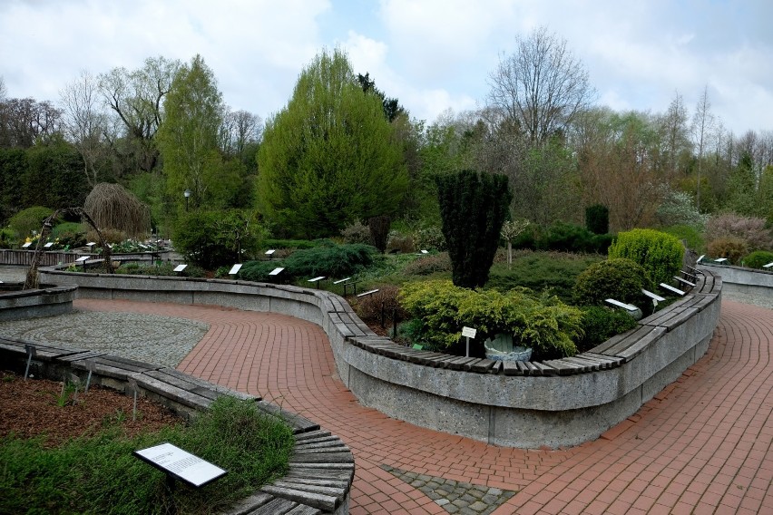 Arboretum w Bolestraszycach koło Przemyśla to wyodrębniony...
