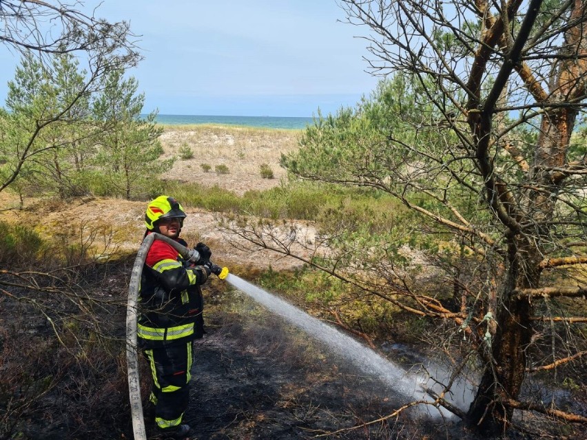 Pożar lasu przy plaży w Słajszewie