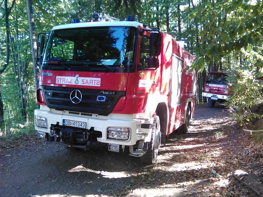 Wałbrzyscy strażacy ugasili pożar lasu, który wybuchł na...