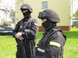 Festyn z okazji Święta Policji w Gdyni 2013 [program]