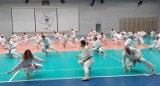 W Pińczowie ćwiczyło ponad 100 karateków podczas VII Centralnego Kongresu Karate
