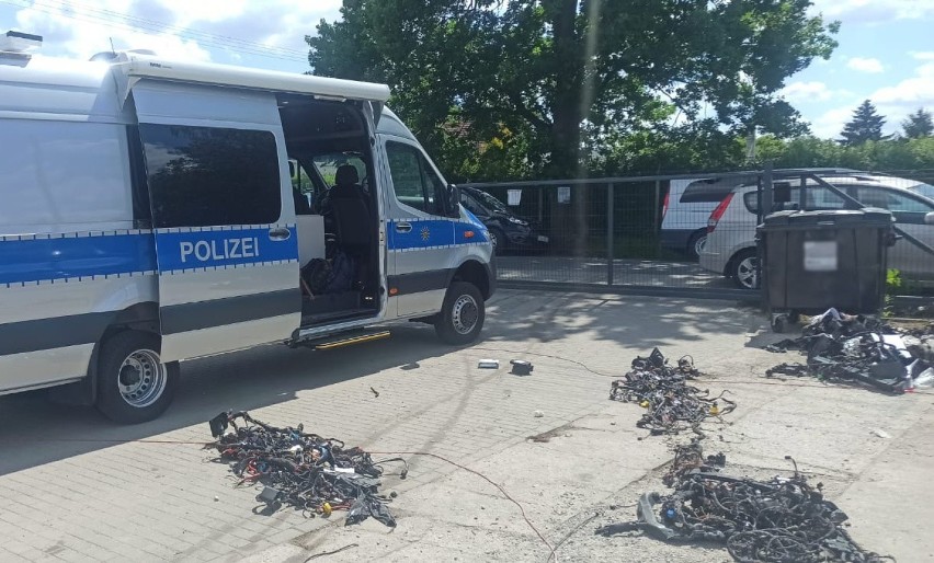 Polsko-niemiecka akcja policjantów w Osielsku pod Bydgoszczą. Zatrzymano pasera elektroniki z aut [zdjęcia]
