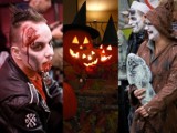 Halloween - nowa krakowska tradycja?