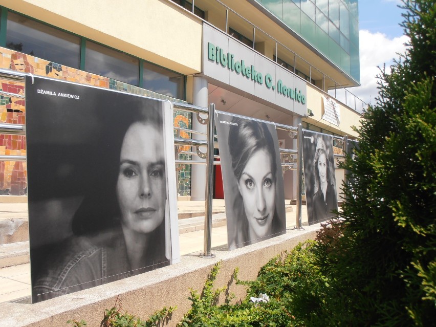 Tę galerię powinniście zobaczyć! Podczas letniego spaceru...