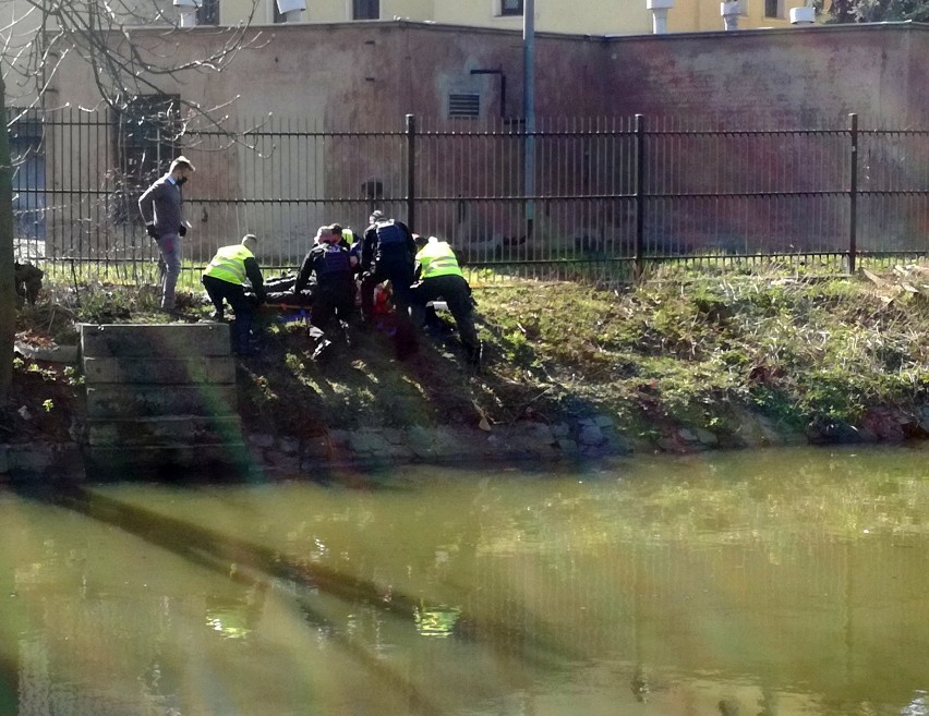 Policjanci wspólnie z żołnierzami WOT ratowali w Kaliszu...