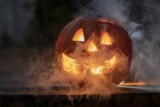 Opolskie Halloween. Zobacz, co się będzie działo i gdzie warto się wybrać! Pierwsze imprezy już w piątek