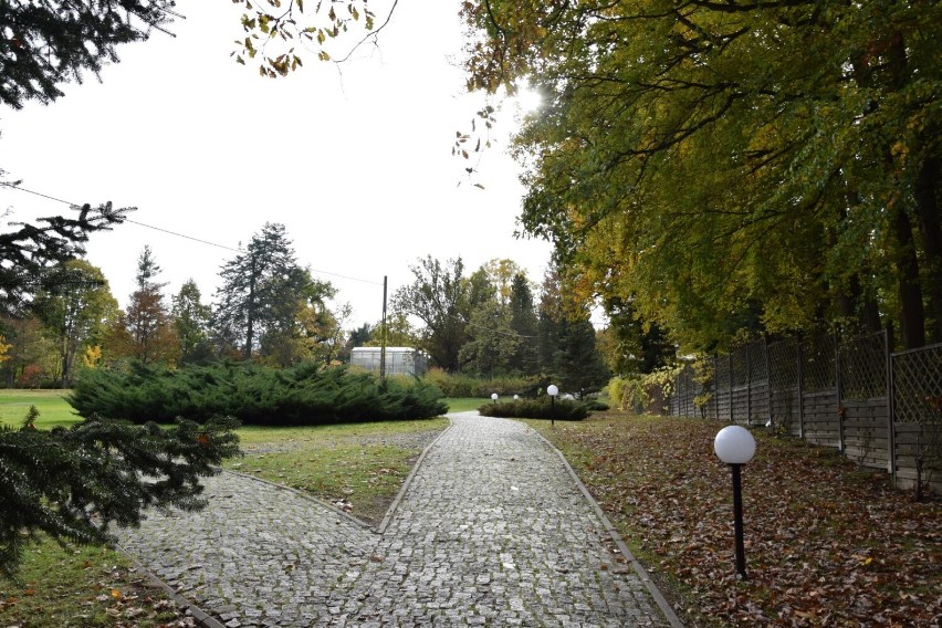 Najstarszy ogród dendrologiczny w Polsce znajduje się na Kociewiu! ZDJĘCIA