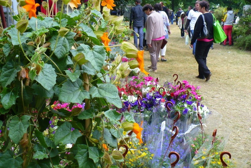 Kalsk, 3 czerwca 2012. Targi Rolnicze Agro-Targ 2012.