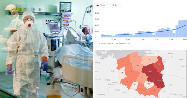 Czwarta fala pandemii przyspiesza. W sobotę, 23 października, Ministerstwo Zdrowia poinformowało o 6274 nowych przypadkach zakażenia na koronawirusa. To najwięcej od 6 maja 2021 roku, a zarazem wzrost o aż 94 proc. w stosunku do ubiegłej soboty! 

W całym kraju zmarło 75 osób, w tym w woj. śląskim 11.  - to największa dzienna liczba zgonów podczas IV fali pandemii. W Śląskiem 5. osób zmarło w Katowicach, jedna w Tychach, Dąbrowie Górniczej, Częstochowie, Chorzowie, pow. częstochowskim i cieszyńskim. 

W naszym województwie stwierdzono 271 nowych przypadków zakażeń. Gdzie najwięcej? Kliknij  następne zdjęcie i sprawdź>>>

Zobacz kolejne zdjęcia. Przesuwaj zdjęcia w prawo - naciśnij strzałkę lub przycisk NASTĘPNE