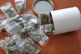 Międzyrzec Podlaski: 26-latek mógł przygotować ponad 60 porcji dealerskich marihuany. Odpowie za posiadanie narkotyków