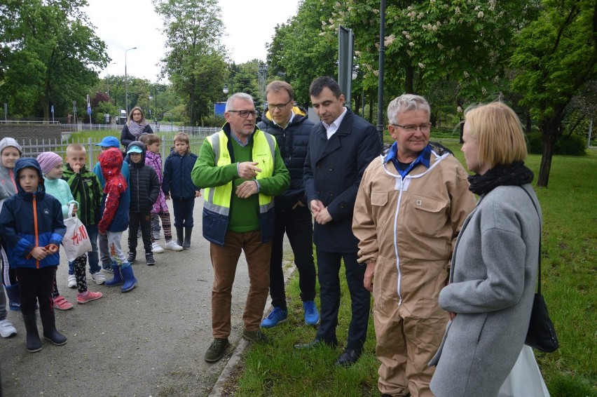 Pszczoły zamieszkały w ulach przy głogowskim rondzie