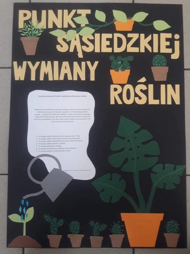 Punkt Sąsiedzkiej Wymiany Roślin. Nowe miejsce w Warszawie, gdzie można adoptować rośliny