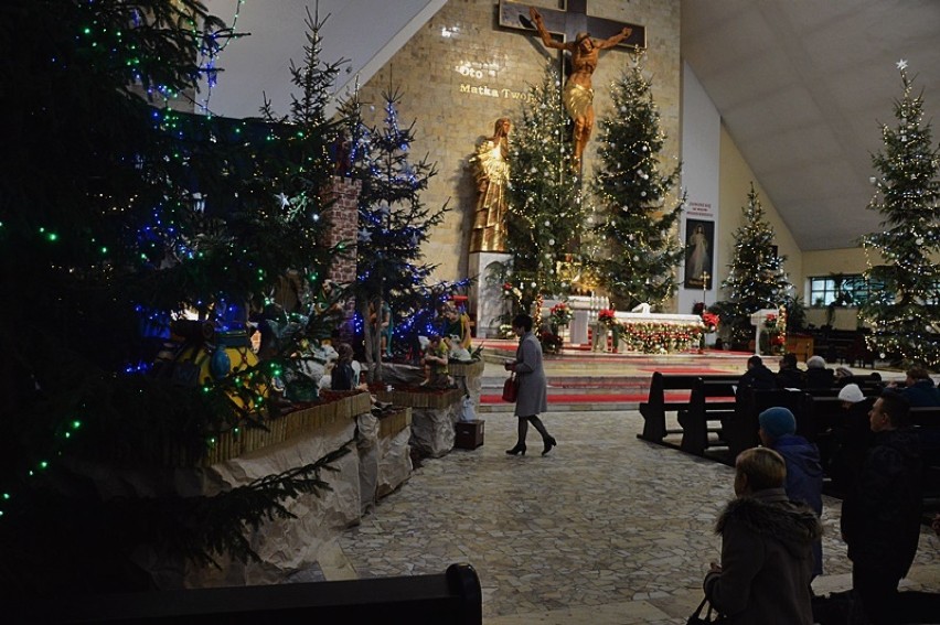 Dzieci, które odwiedzają żywą szopkę mogą również pogłaskać...