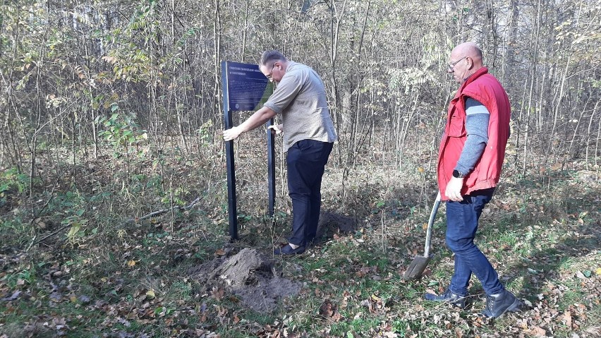 Upamiętnione cmentarze ewangelickie w Zborowskich i Holendrach