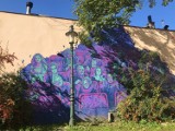 Cieszyńskie murale i graffiti. Jak wygląda uliczna sztuka w mieście nad Olzą? Zobacz zdjęcia największych i najbarwniejszych prac