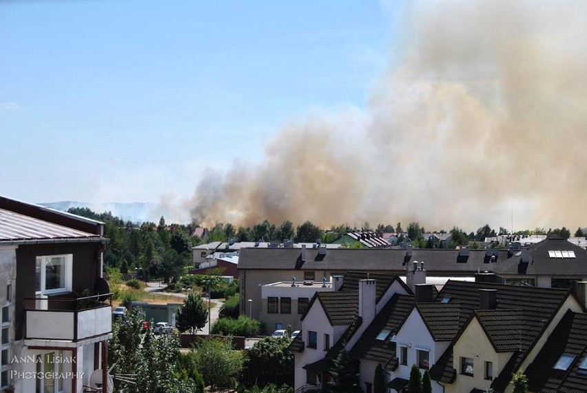 Pożar w Częstochowie: Palą się lasy i nieużytki na terenach zalewowych [ZDJĘCIA, WIDEO,AKTUALIZACJA]