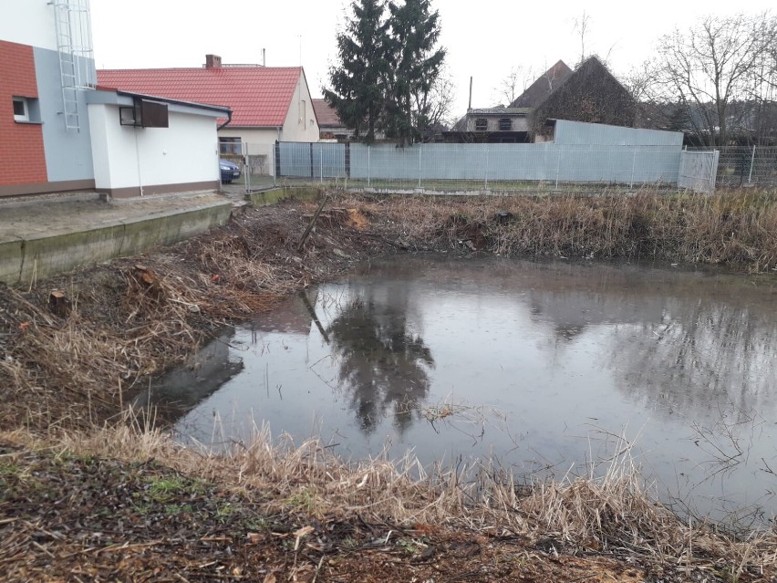 Gmina Kościan. Rewitalizacja stawów w Kurowie i Starym Luboszu