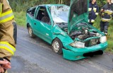 Wypadek na drodze z Borzęcina do Dobla. Jedna osoba w szpitalu [zdjęcia]