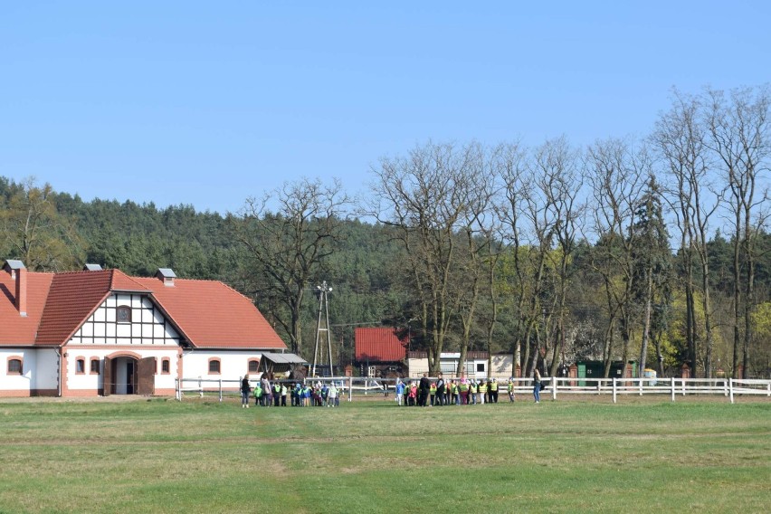 Przedszkolaki z Międzychodu na poszukiwaniach