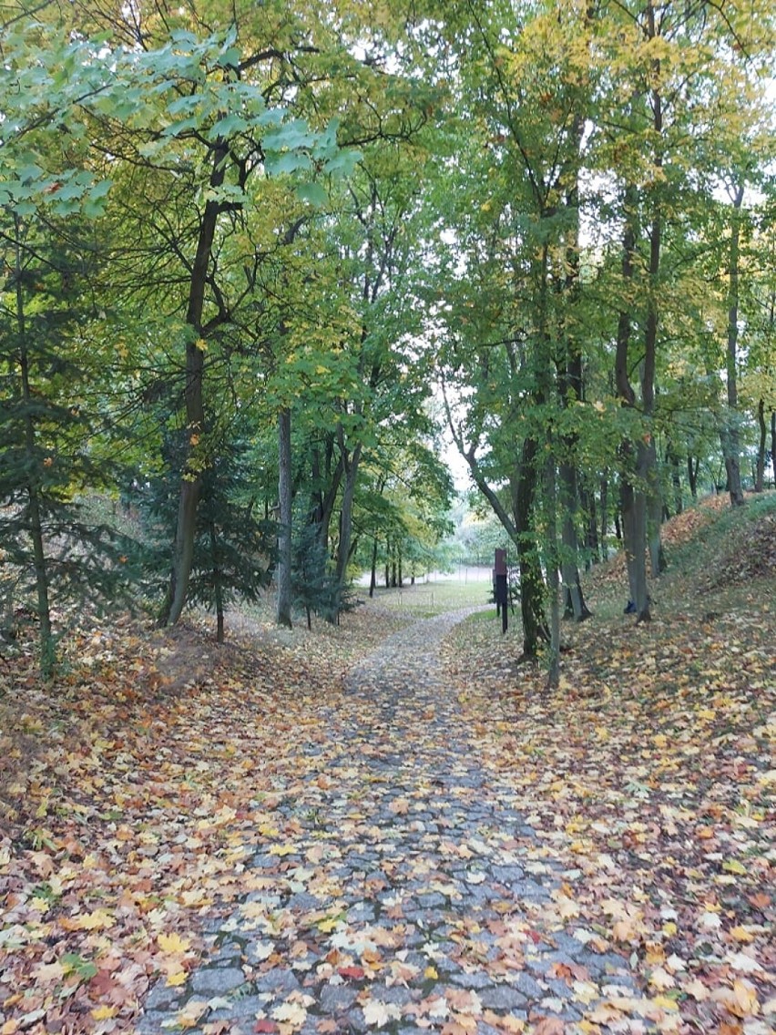 Jesień w powiecie obornickim. Spacer po parku przy klasztorze Misjonarzy Świętej Rodziny w Bąblinie [ZDJĘCIA]
