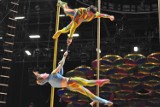 Cirque du Soleil we wrześniu w Warszawie [bilety]