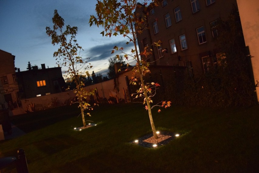 Bajkowe miasto nocą. Tak wygląda Zduńska Wola w świetle...