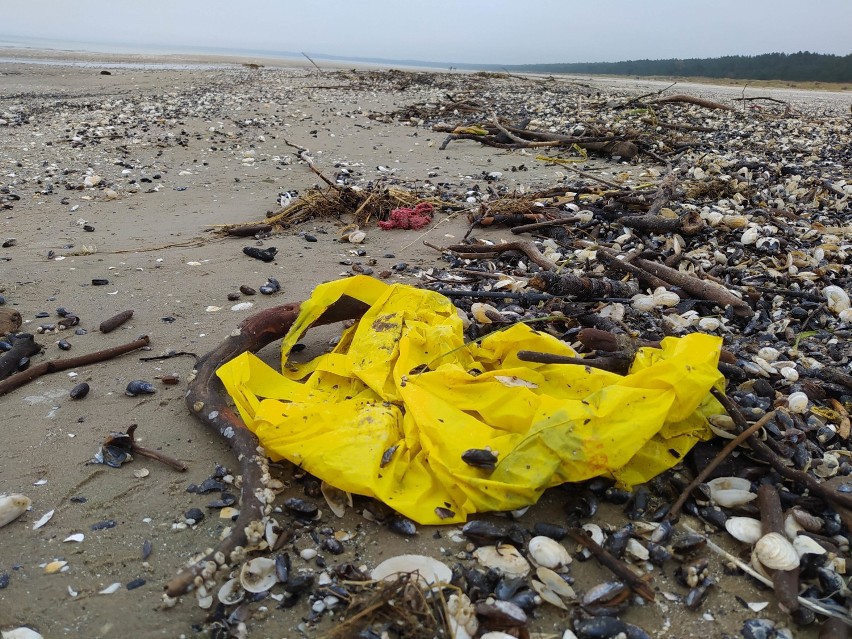 Świnoujście - śmieci na plaży po sztormie. Zobacz, co wyrzuciło morze
