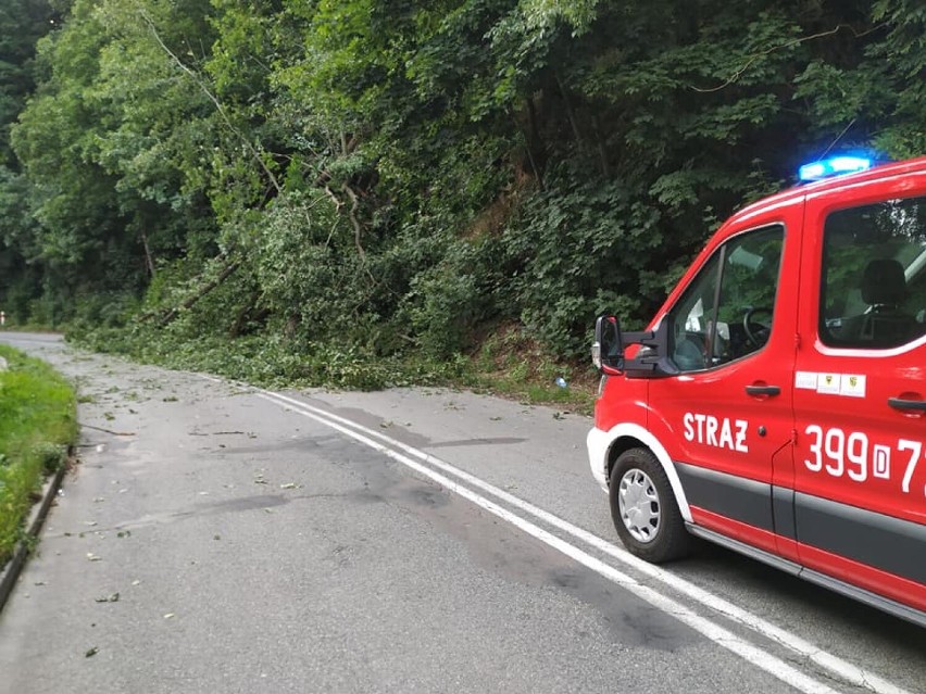 Drzewa jedno po drugim spadały na drogę w Olszyńcu (gmina...