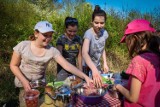 Drołtowice: Fundacja Edukacji Przyrodniczej Learn Outdoors zaprasza na biwak