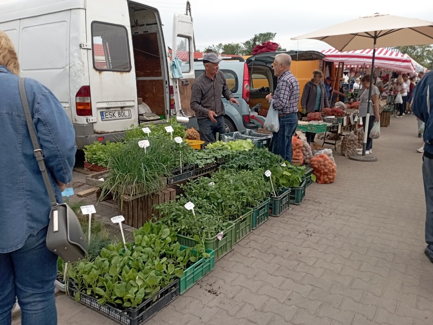 Sobota na targowisku miejskim w Skierniewicach